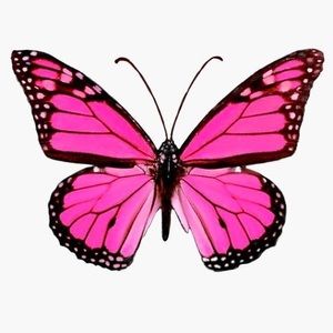 ❄️~~Everything below has sold ~~🦋